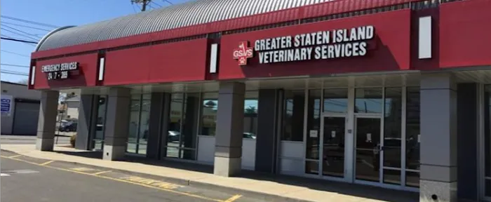 Greater Staten Island Veterinary Services Picture 9