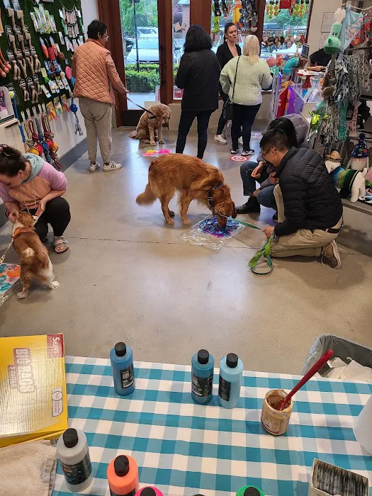 The Seattle Barkery Picture 5