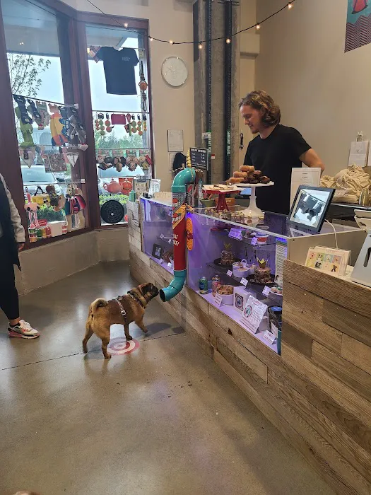 The Seattle Barkery Picture 6