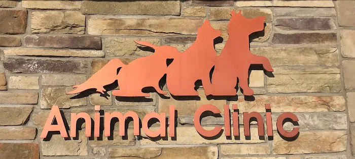 Animal Clinic of Bayonne Picture 10