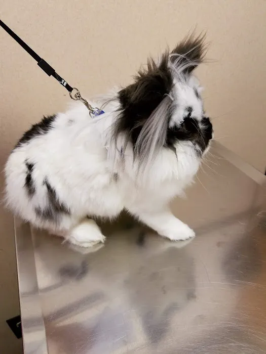 Animal Clinic of Bayonne Picture 1