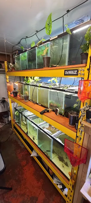Ryan's Fish Shop Picture 2