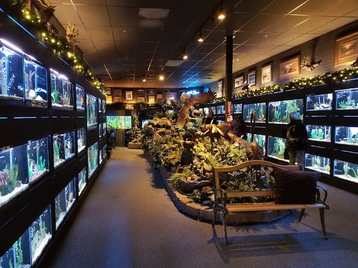 Bridges Pets, Gifts & Water Gardens Picture 8