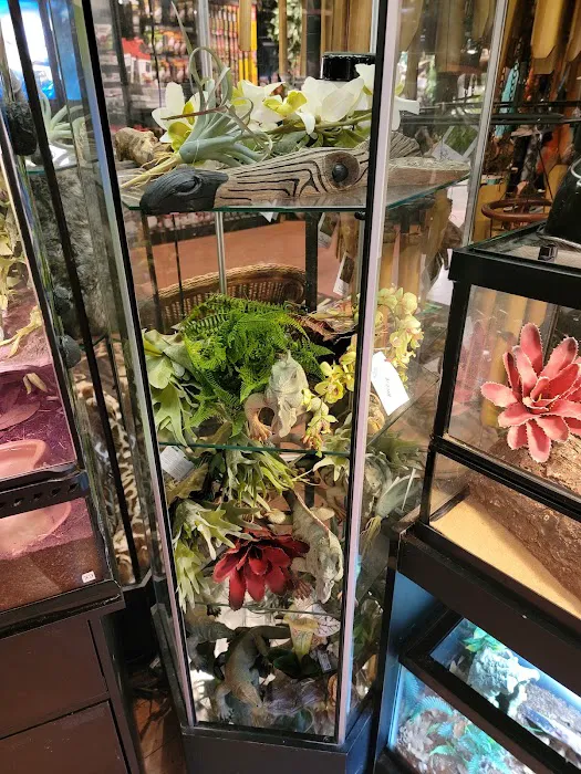 Bridges Pets, Gifts & Water Gardens Picture 2