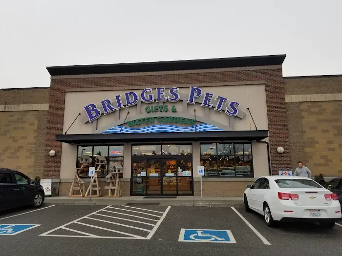 Bridges Pets, Gifts & Water Gardens Picture 1