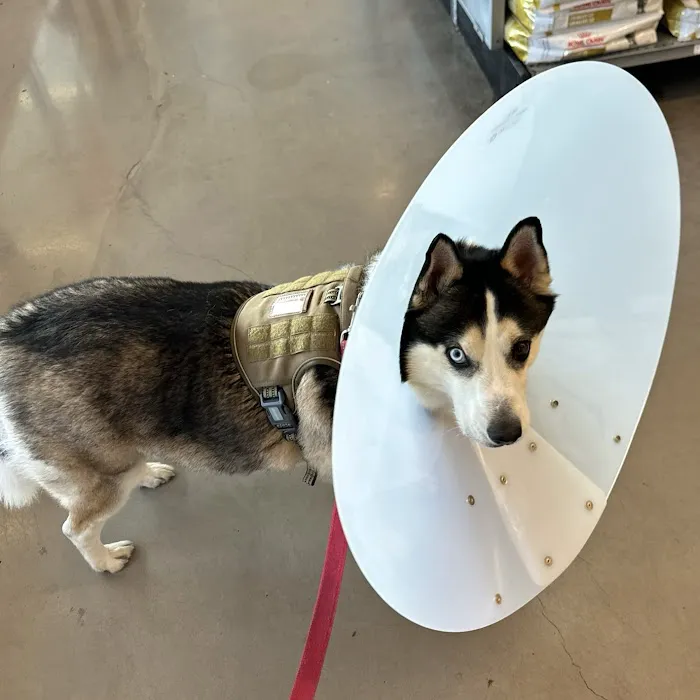 Banfield Pet Hospital Picture 1
