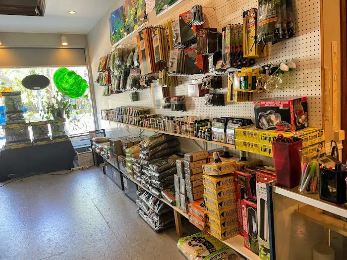 Hewitt Reptile Emporium Picture 5