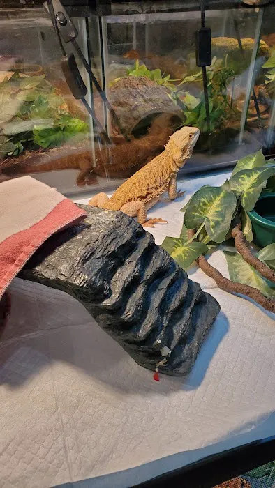 Hewitt Reptile Emporium Picture 3