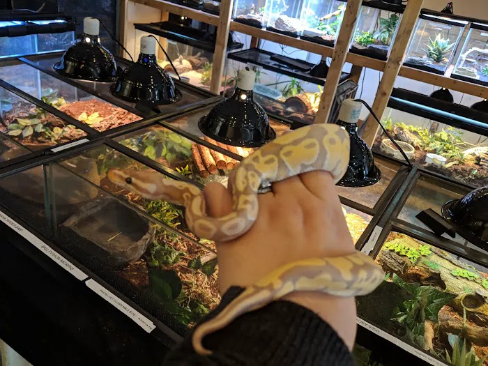 Hewitt Reptile Emporium Picture 7