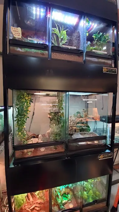 Hewitt Reptile Emporium Picture 1
