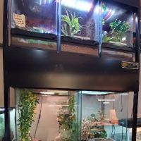 Hewitt Reptile Emporium ico