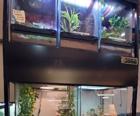 Hewitt Reptile Emporium