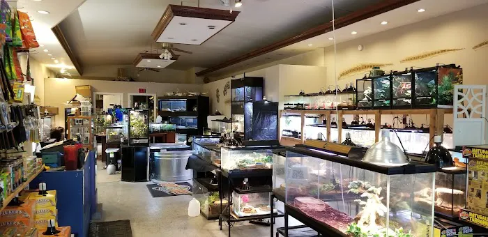 Hewitt Reptile Emporium Picture 2