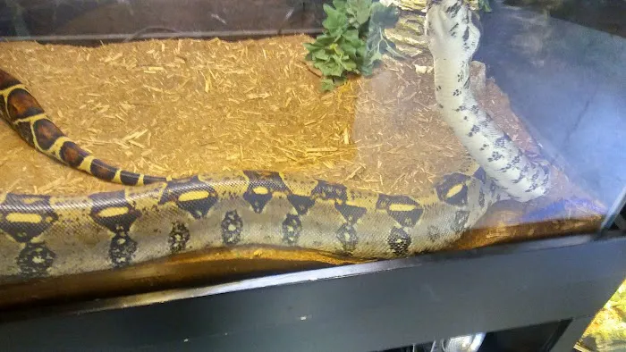 Hewitt Reptile Emporium Picture 6