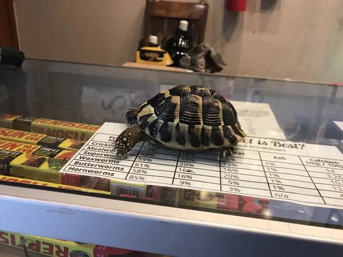 Hewitt Reptile Emporium Picture 10