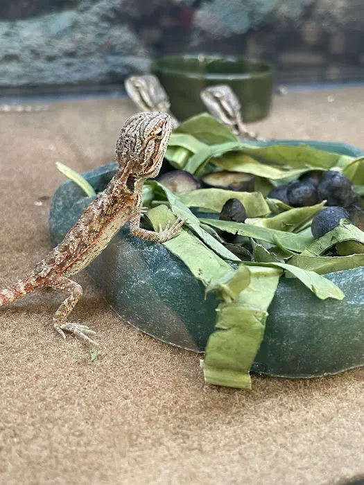 Petco Picture 8