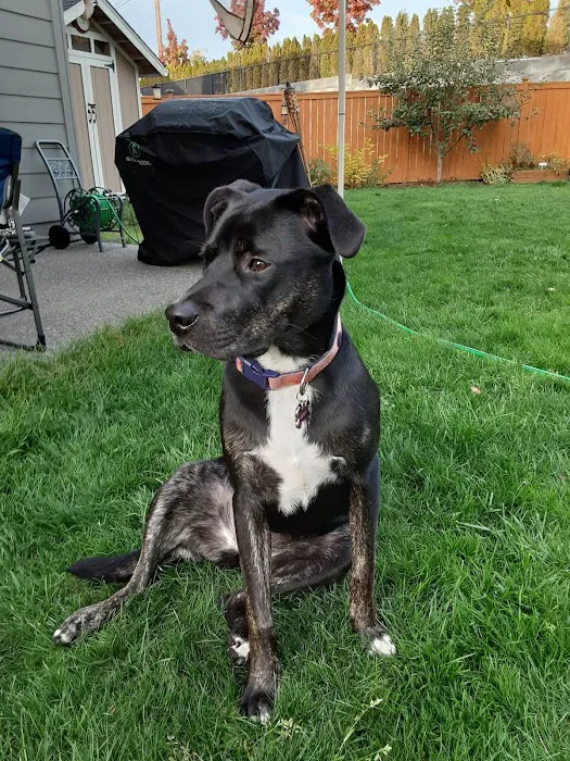 Petco Picture 5