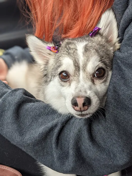 Petco Picture 10