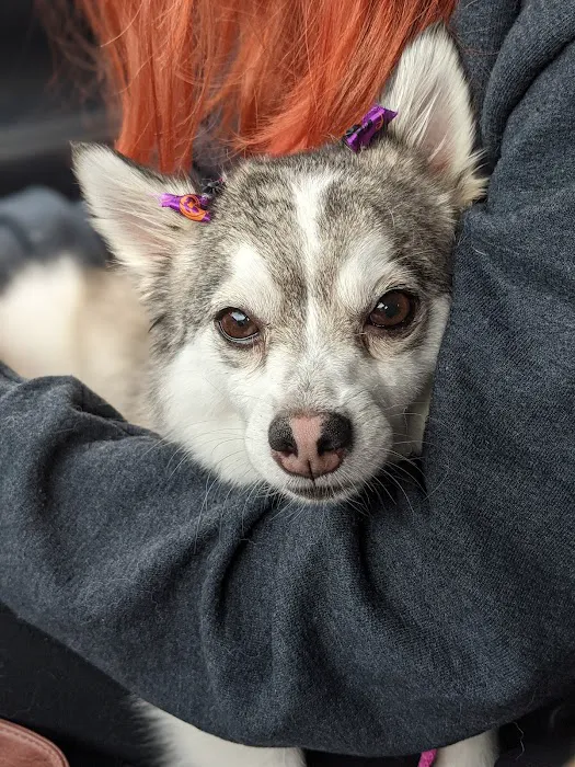 Petco Picture 9