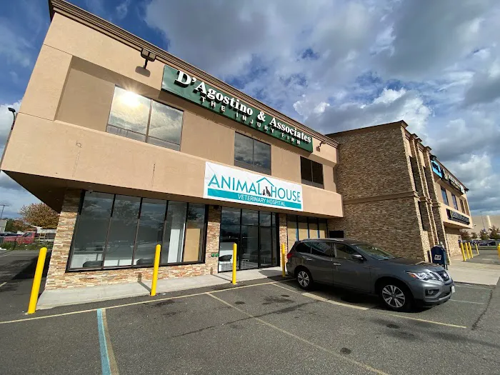 Animal House Veterinary Hospital Picture 7