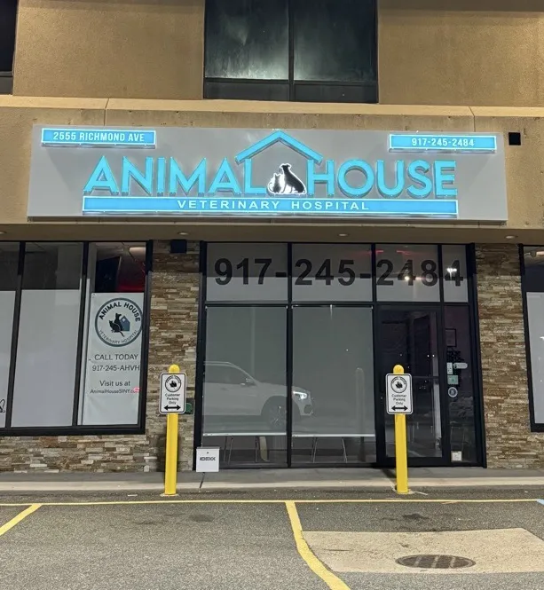 Animal House Veterinary Hospital Picture 8