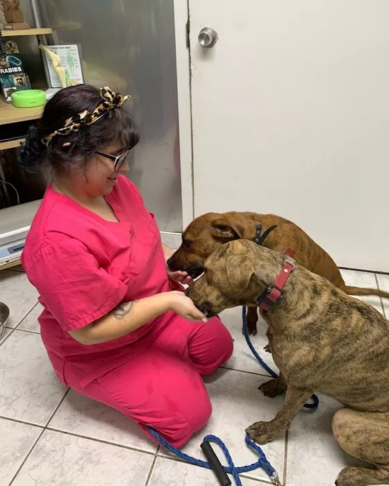 Staten Island Veterinary Group Picture 9