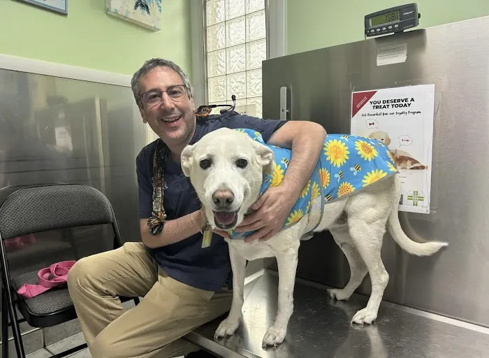 Staten Island Veterinary Group Picture 7
