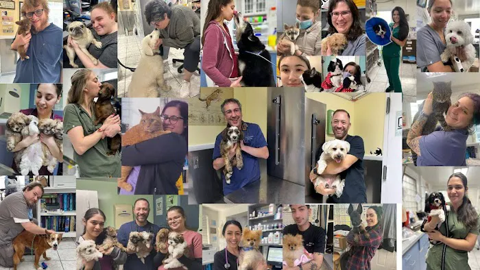 Staten Island Veterinary Group Picture 1