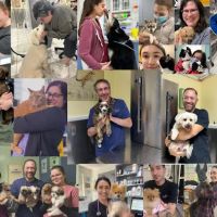 Staten Island Veterinary Group ico