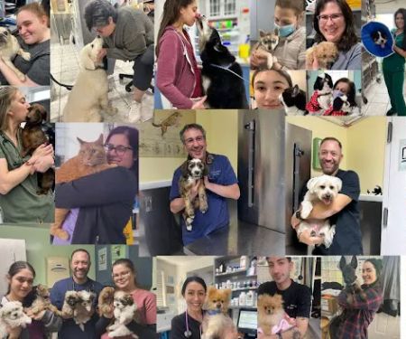 Staten Island Veterinary Group