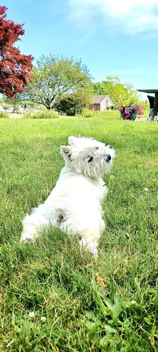 Montville Animal Hospital Picture 1