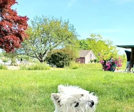Montville Animal Hospital