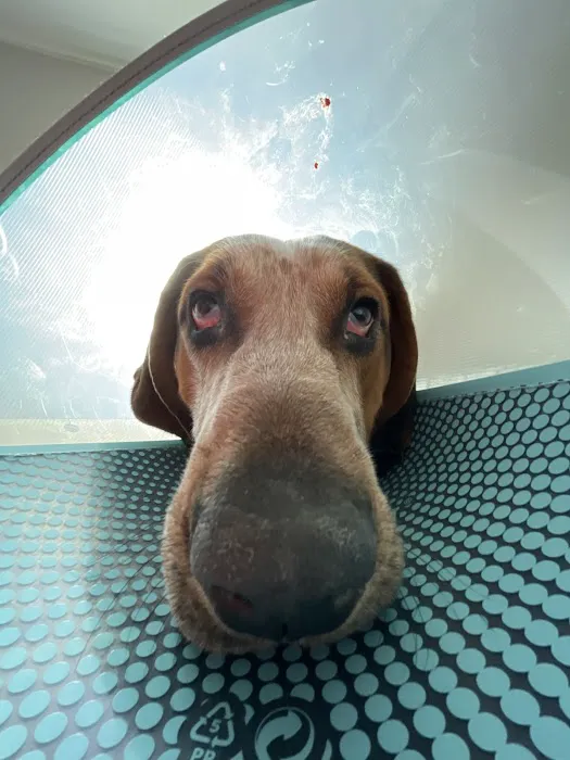 Montville Animal Hospital Picture 8