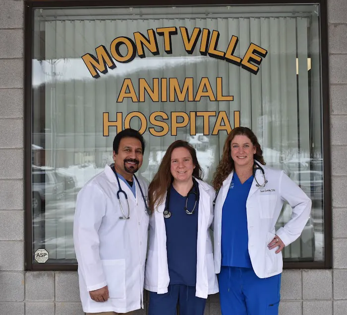 Montville Animal Hospital Picture 7