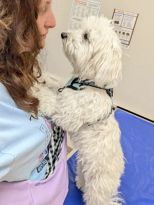 Montville Animal Hospital Picture 10