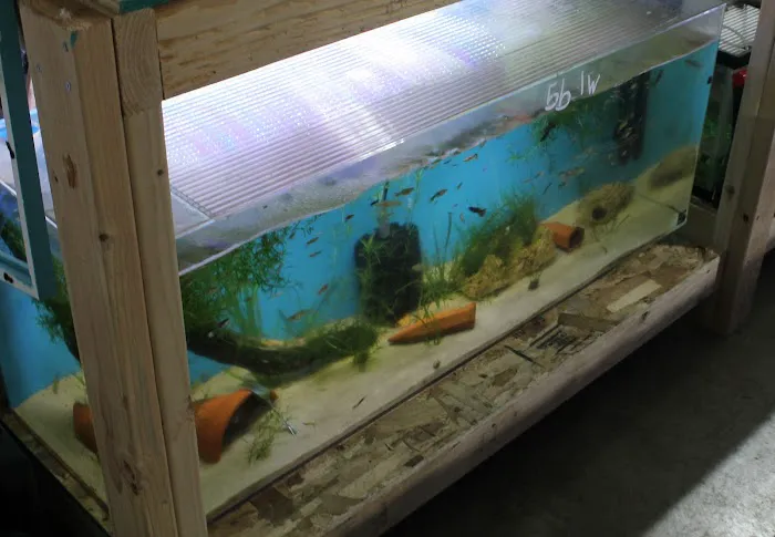 DENSMORE AQUA FARM Picture 5