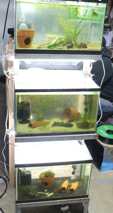 DENSMORE AQUA FARM Picture 2