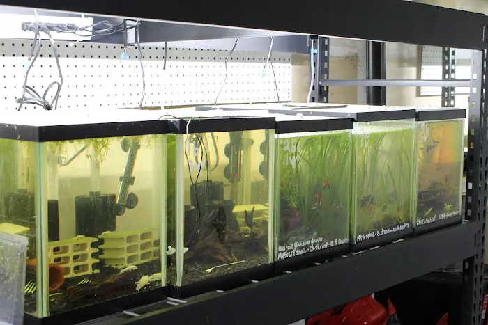 DENSMORE AQUA FARM Picture 9