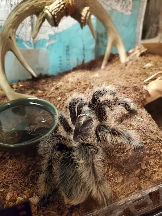 Petco Picture 2