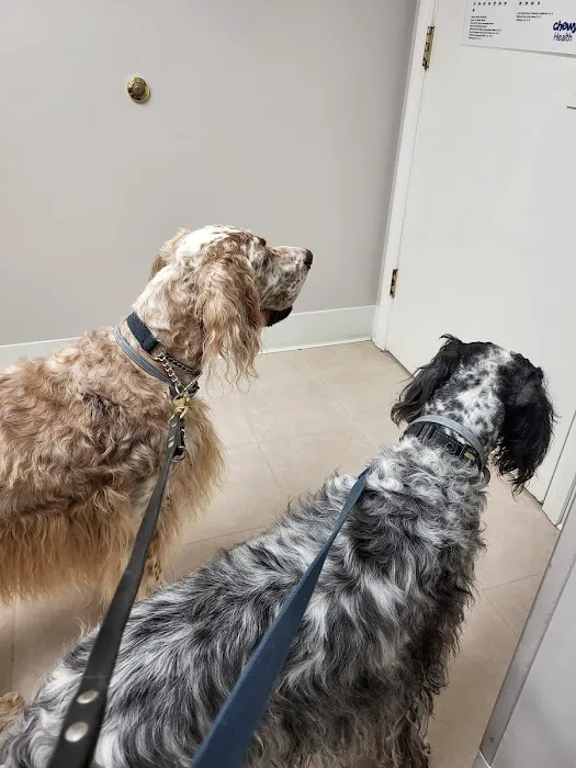 Salem Valley Veterinary Clinic Picture 2