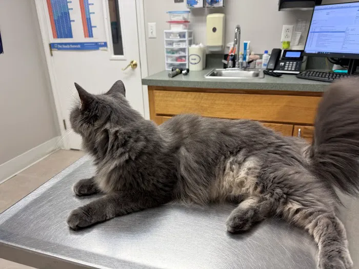 Salem Valley Veterinary Clinic Picture 1