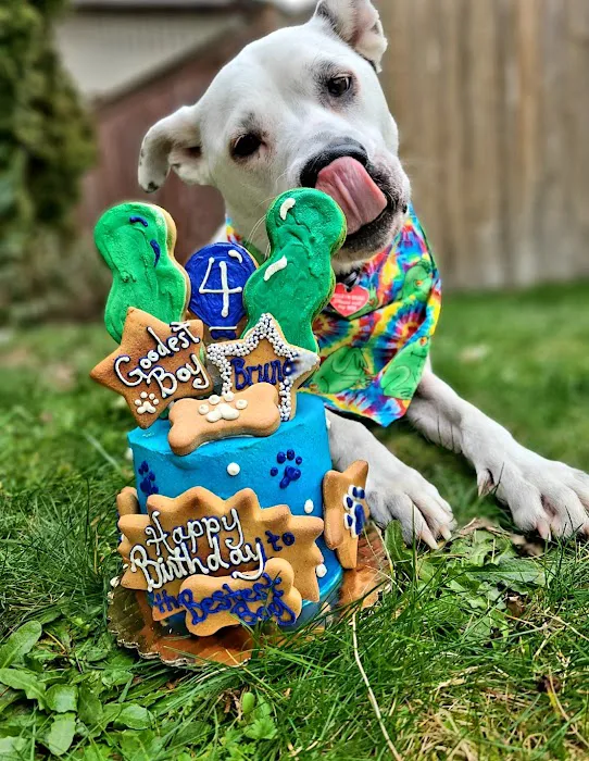 A Barkery Unleashed Picture 10