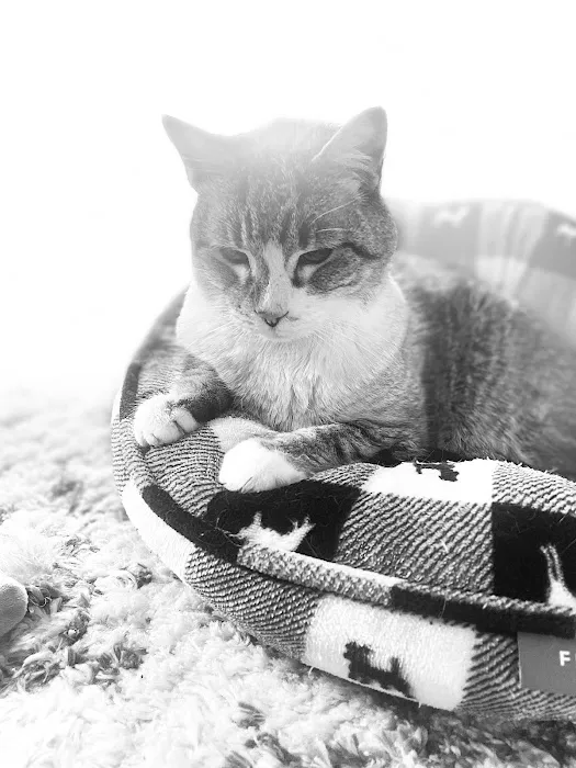 Groton Ledyard Veterinary Hospital Picture 8