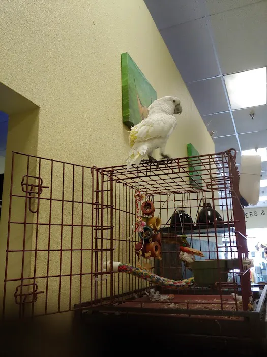 Critters & Co Pet Center& Rescue Picture 10