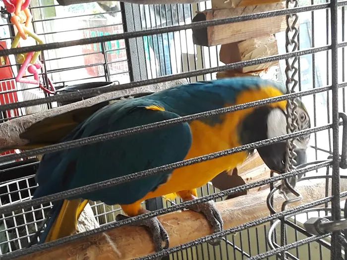 Critters & Co Pet Center& Rescue Picture 6