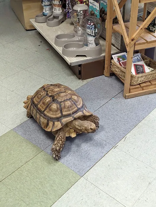Critters & Co Pet Center& Rescue Picture 2