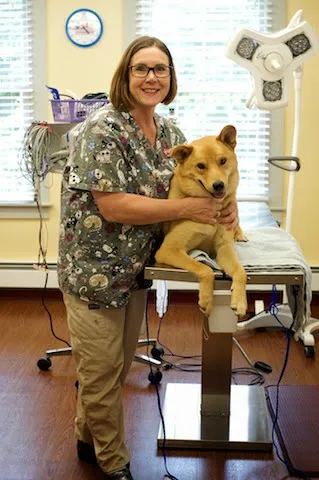 Adorable Pets Veterinary Center Picture 4