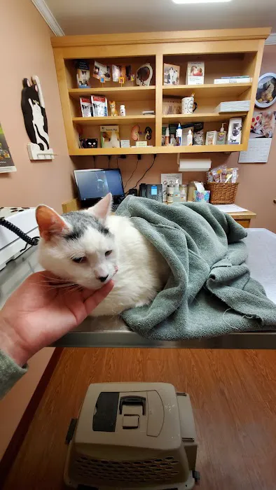 Adorable Pets Veterinary Center Picture 5