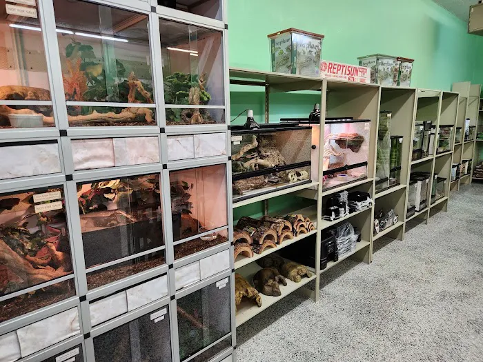 Nova Reptiles Picture 2