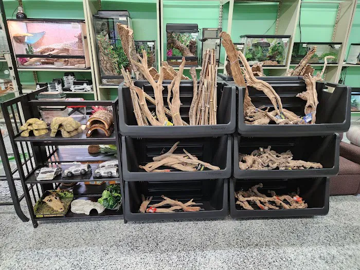 Nova Reptiles Picture 6